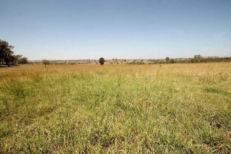273 Rosebud Road, Mudgee NSW 2850