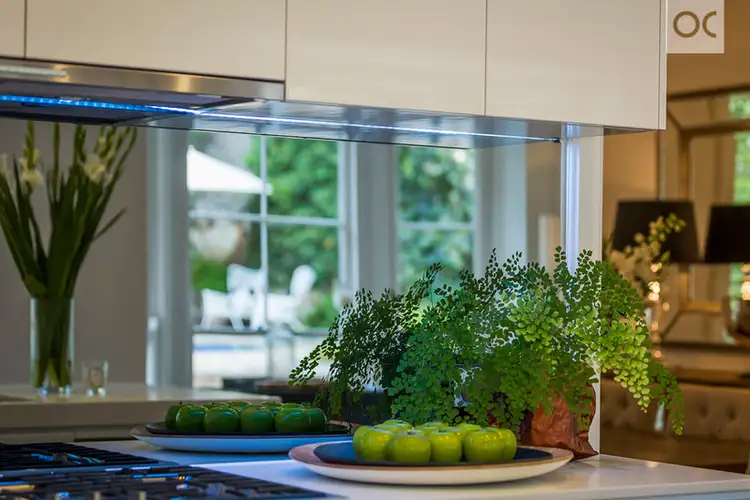 Fifth view of Homely house listing, 17 Coreega Avenue, Springfield SA 5062