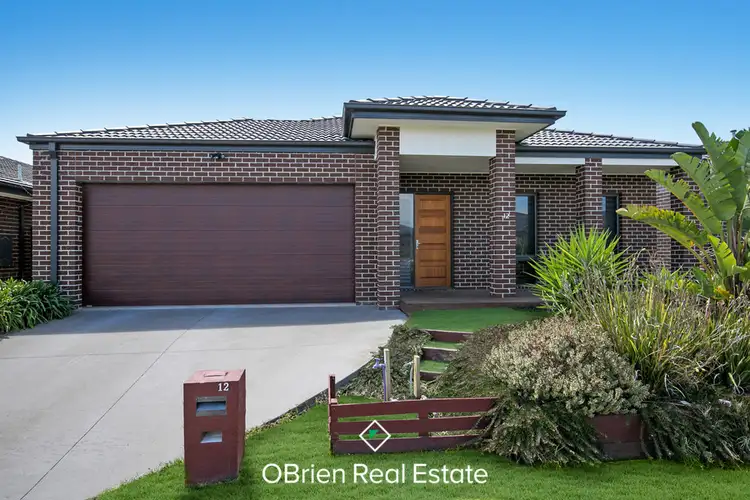 12 Dalray Street, Sandhurst VIC 3977