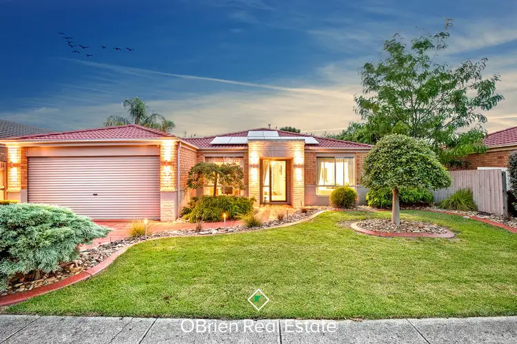 99 Bellevue Drive, Berwick VIC 3806