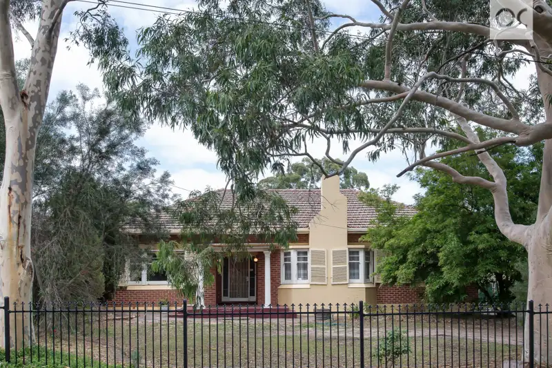 Main view of Homely house listing, 13 Palmer Avenue, Myrtle Bank SA 5064