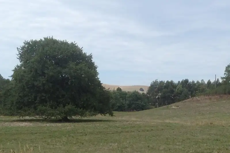 Main view of Homely land listing, Woodleigh St Hellier Road, Woodleigh VIC 3945