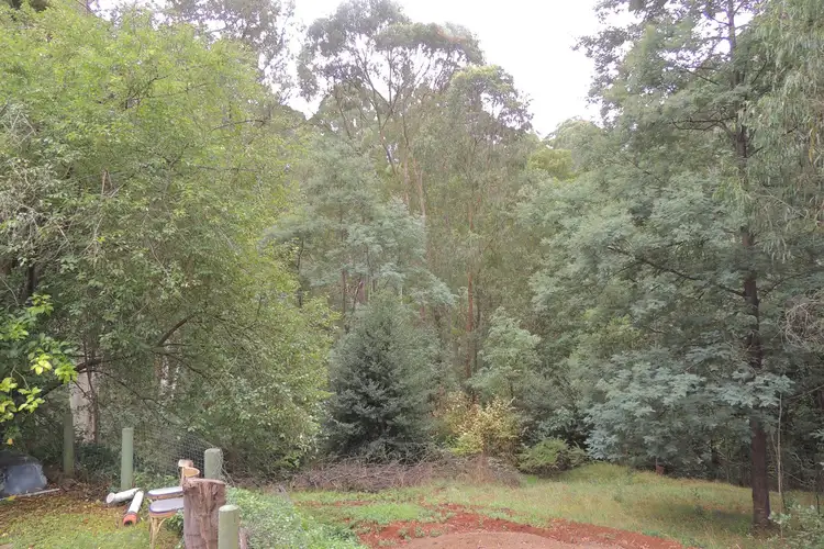 Fifth view of Homely house listing, 319 Mt Baw Baw Tourist Road, Noojee VIC 3833