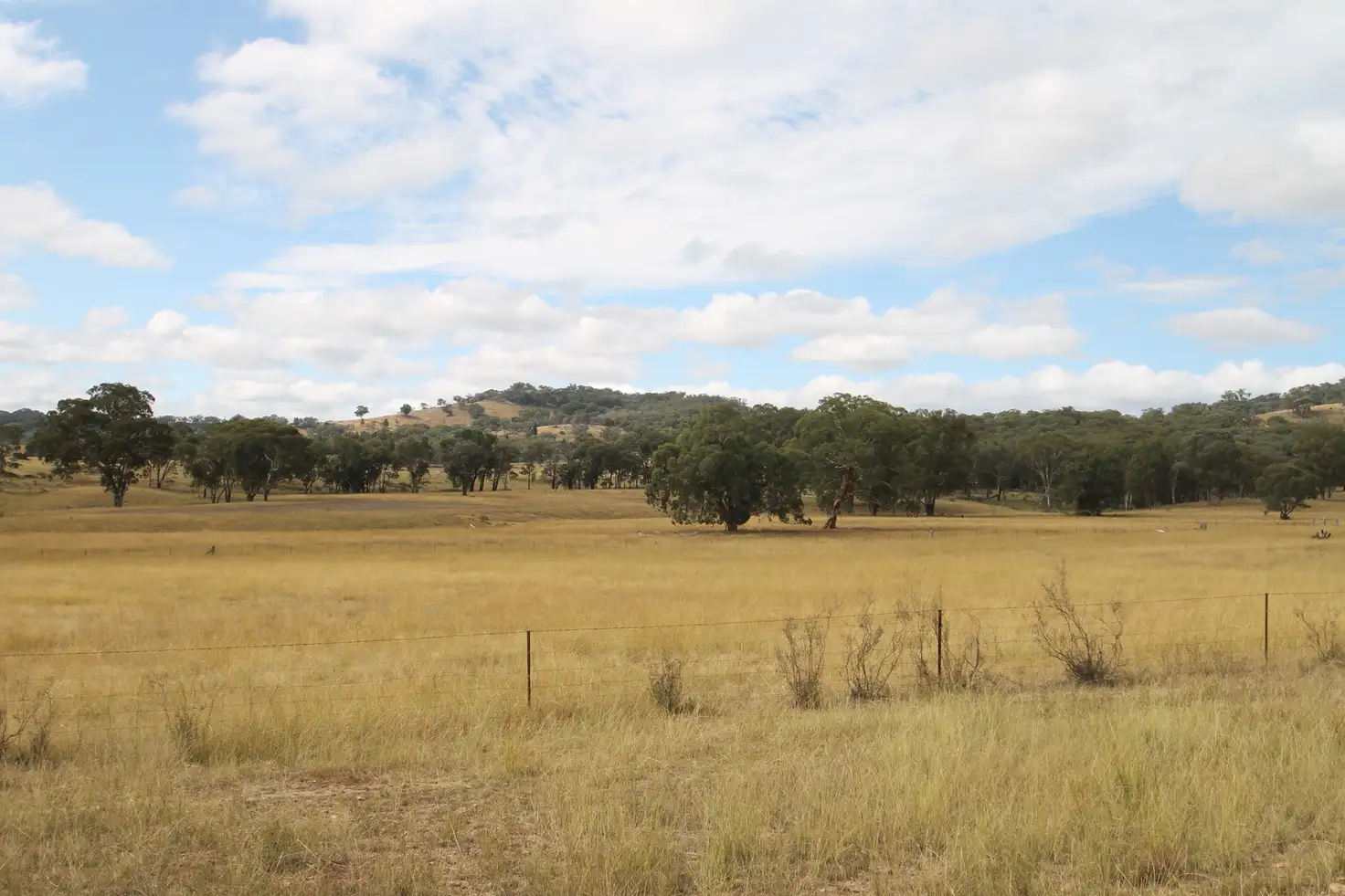 Main view of Homely rural property listing, 827 Bara-Lue Road, Mudgee NSW 2850