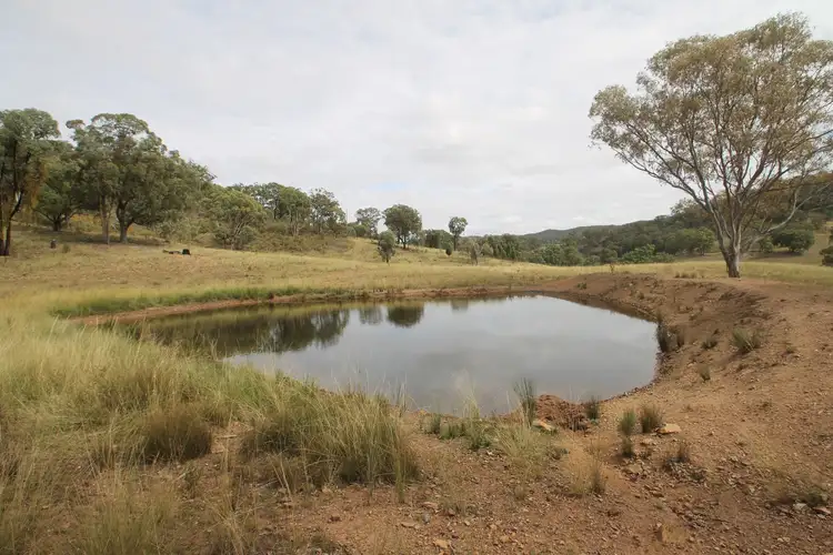 Seventh view of Homely rural property listing, 827 Bara-Lue Road, Mudgee NSW 2850