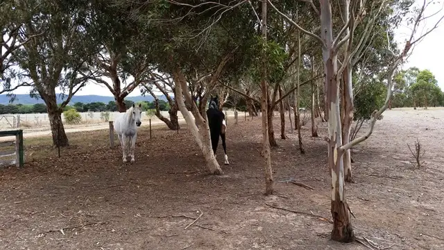 Fourth view of Homely land listing, 5 Mcfarlanes Lane, Mount Egerton VIC 3352