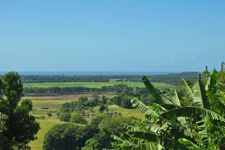 Second view of Homely rural property listing, 52 Hinterland Way, Tintenbar NSW 2478