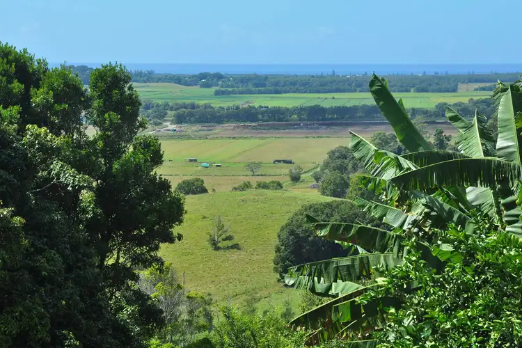 Fourth view of Homely rural property listing, 52 Hinterland Way, Tintenbar NSW 2478