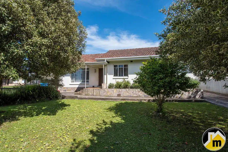 49 Anthony Street, Mount Gambier SA 5290