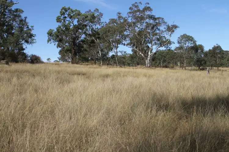 Second view of Homely rural property listing, 701 Durridgerie Road, Mudgee NSW 2850