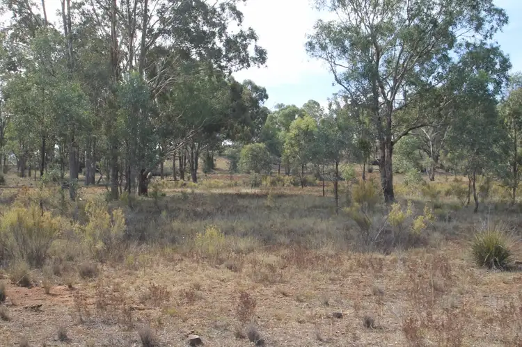 Third view of Homely rural property listing, 701 Durridgerie Road, Mudgee NSW 2850