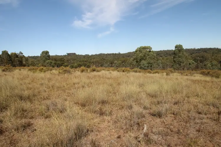 Fourth view of Homely rural property listing, 701 Durridgerie Road, Mudgee NSW 2850