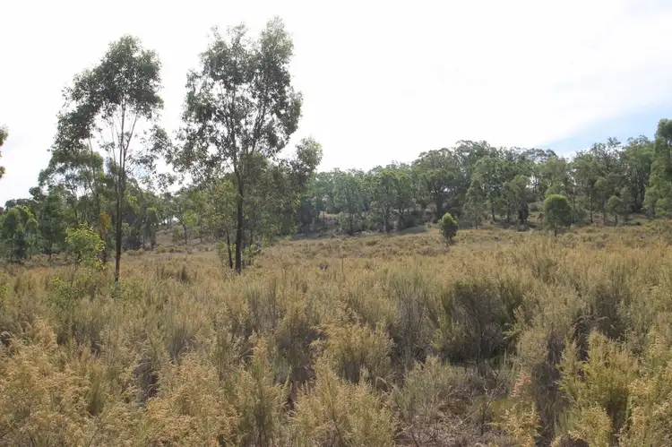 Seventh view of Homely rural property listing, 701 Durridgerie Road, Mudgee NSW 2850