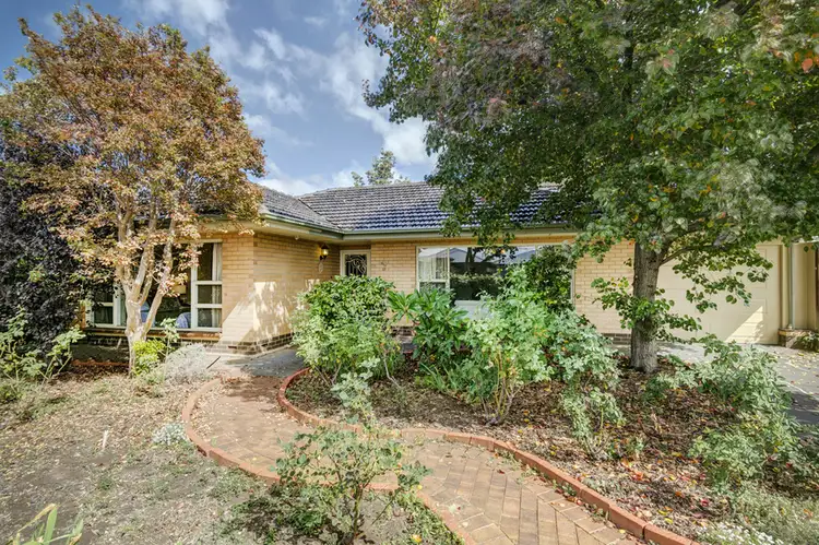 38 Douglas Street, Flinders Park SA 5025