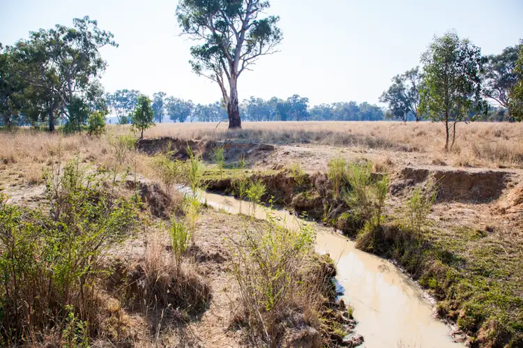 Fourth view of Homely rural property listing, Molkentin Road, Jindera NSW 2642