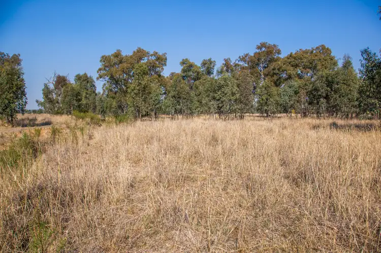 Sixth view of Homely rural property listing, Molkentin Road, Jindera NSW 2642