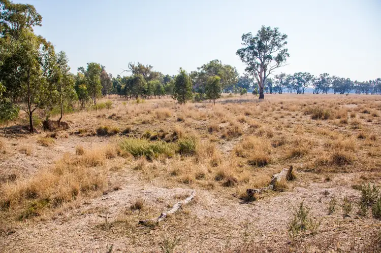Seventh view of Homely rural property listing, Molkentin Road, Jindera NSW 2642