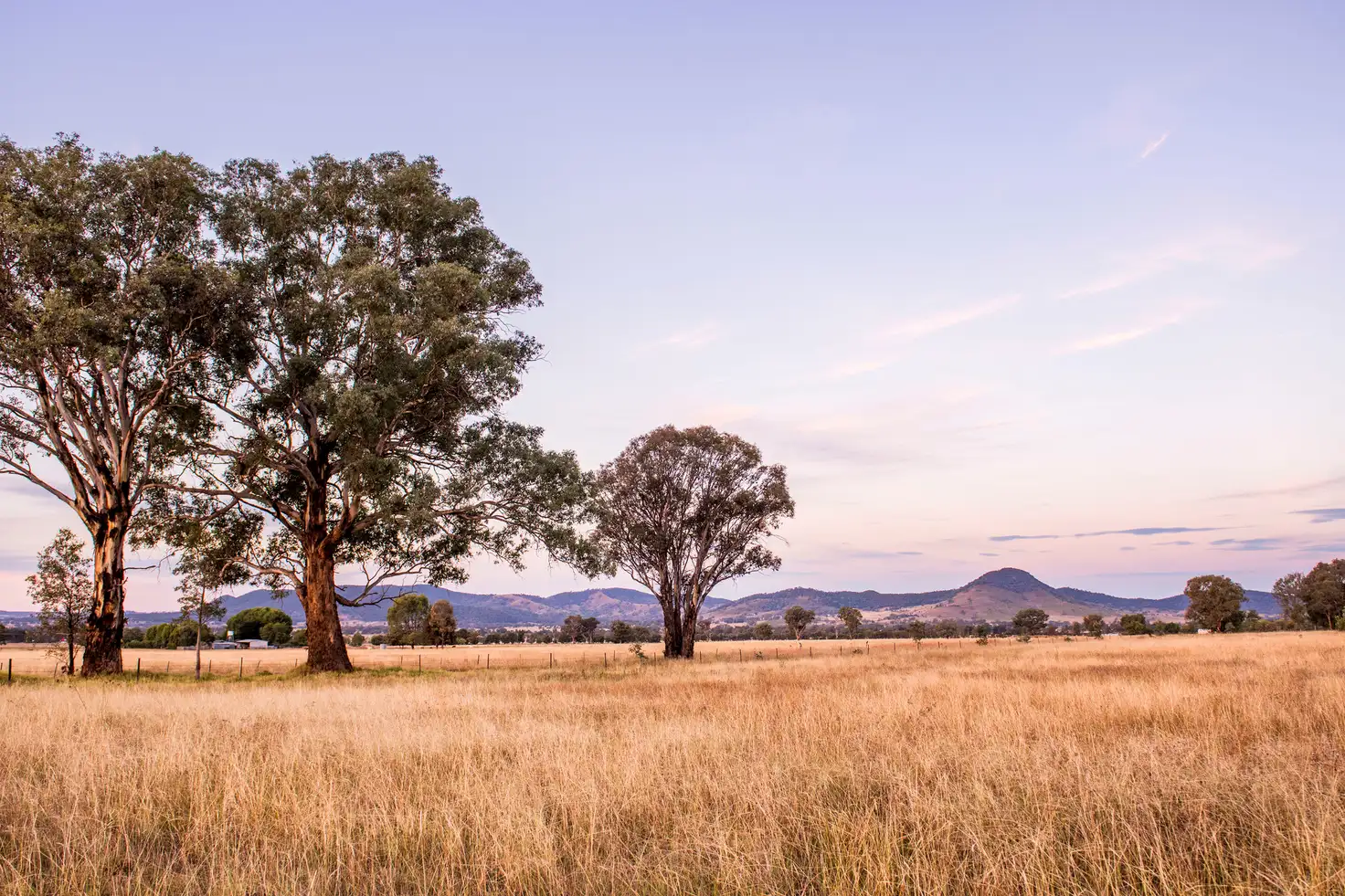 Main view of Homely land listing, 202 Broadhead Road, Mudgee NSW 2850