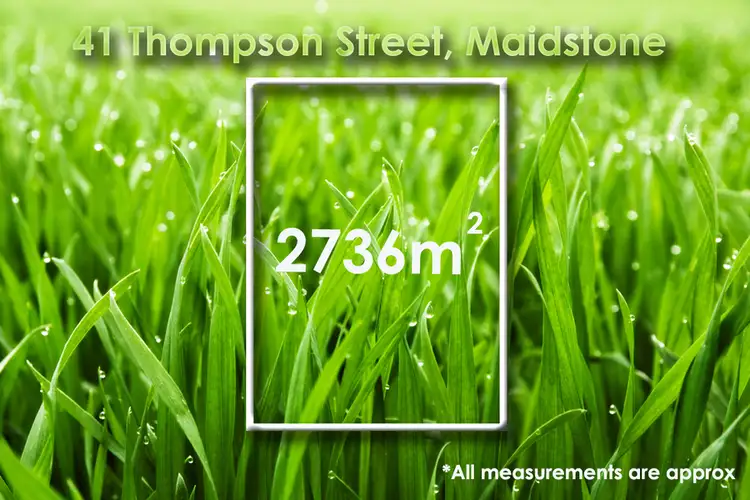 41 Thompson Street, Maidstone VIC 3012
