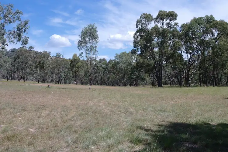 Fourth view of Homely rural property listing, 203 Roberts Road, Mudgee NSW 2850