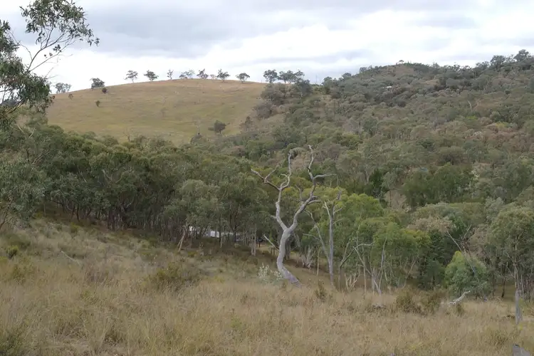 Fifth view of Homely rural property listing, 203 Roberts Road, Mudgee NSW 2850