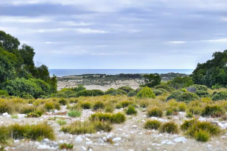 Main view of Homely rural property listing, LOT 21 Cathers Road, Pelican Lagoon SA 5222