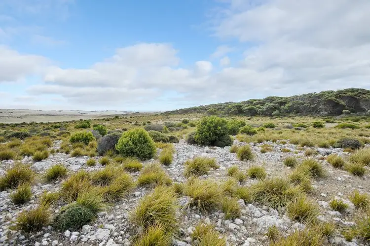 Second view of Homely rural property listing, LOT 21 Cathers Road, Pelican Lagoon SA 5222
