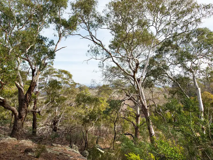 Sixth view of Homely land listing, 3B Faraday-Sutton Grange Road, Faraday VIC 3451