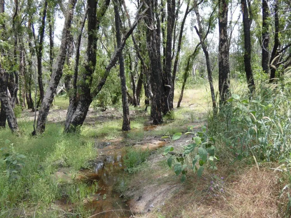 Main view of Homely land listing, 155 Serrata Road, Dundee Downs NT 840