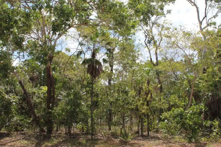 Seventh view of Homely land listing, 155 Serrata Road, Dundee Downs NT 840