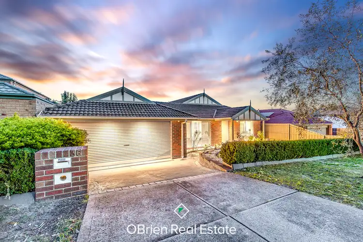 36 Blue Range Crescent, Lynbrook VIC 3975