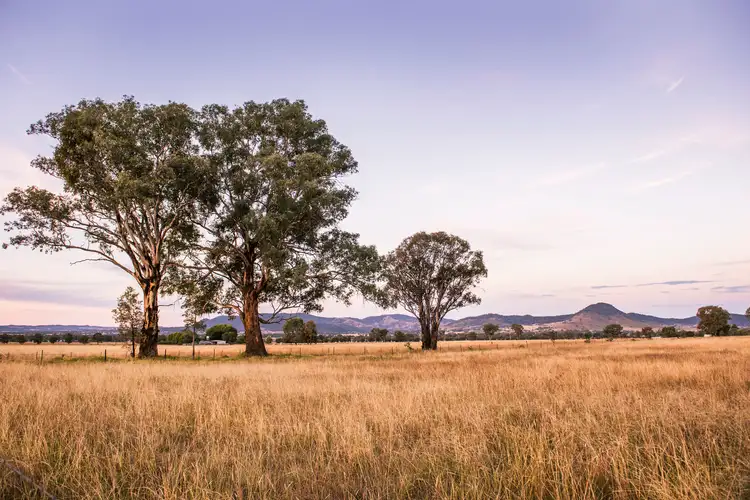 Fourth view of Homely land listing, 176 Broadhead Road, Mudgee NSW 2850