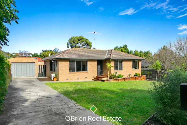 Second view of Homely house listing, 3 Lorikeet Court, Mornington VIC 3931