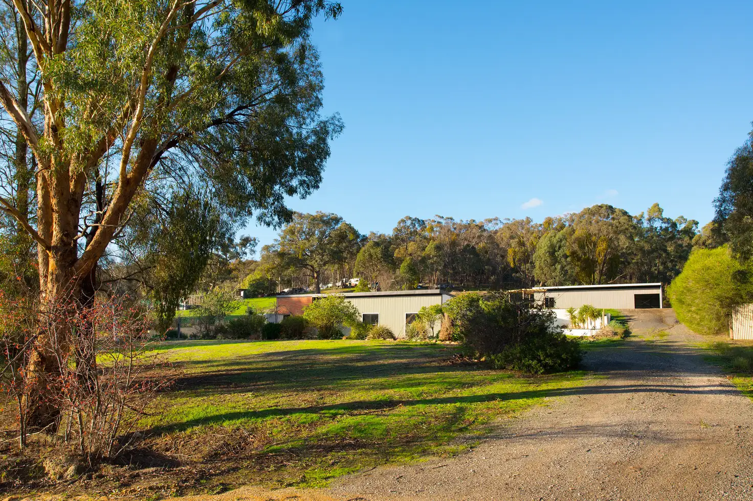 Main view of Homely land listing, 50 Dinah Road, Chewton VIC 3451