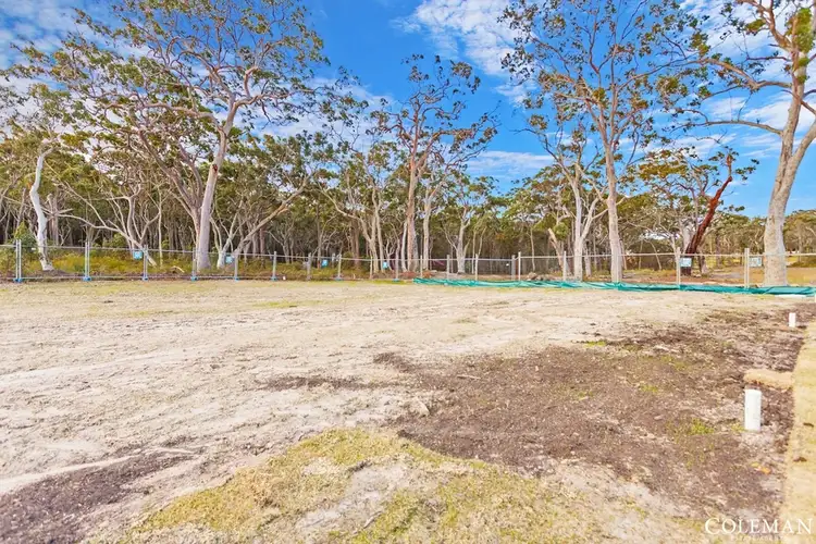 LOT 317 Rosemeadow Drive, Gwandalan NSW 2259