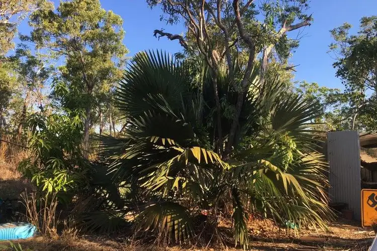 Second view of Homely rural property listing, 90 Monck Road, Acacia Hills NT 822