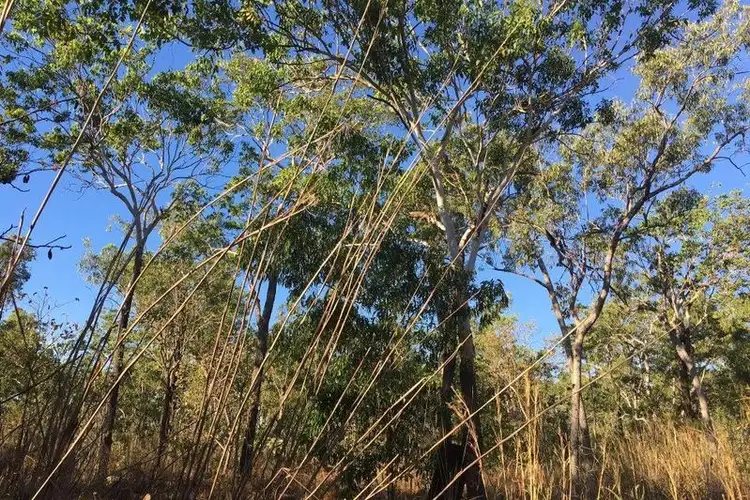 Fourth view of Homely rural property listing, 90 Monck Road, Acacia Hills NT 822