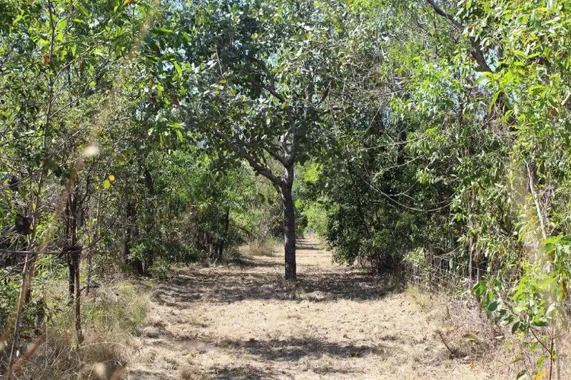 Main view of Homely land listing, 64 Andreas Avenue, Dundee Beach NT 840