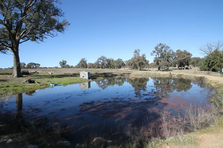 51 Norlenbah Lane, Mudgee NSW 2850