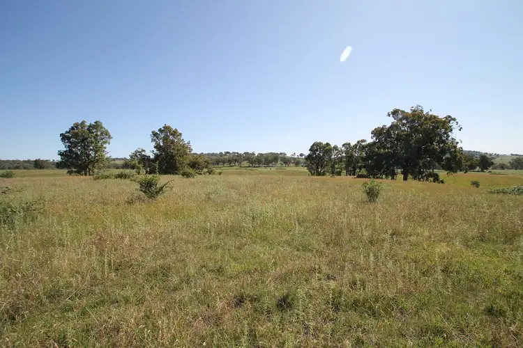 293 Hayes Gap Road, Mudgee NSW 2850
