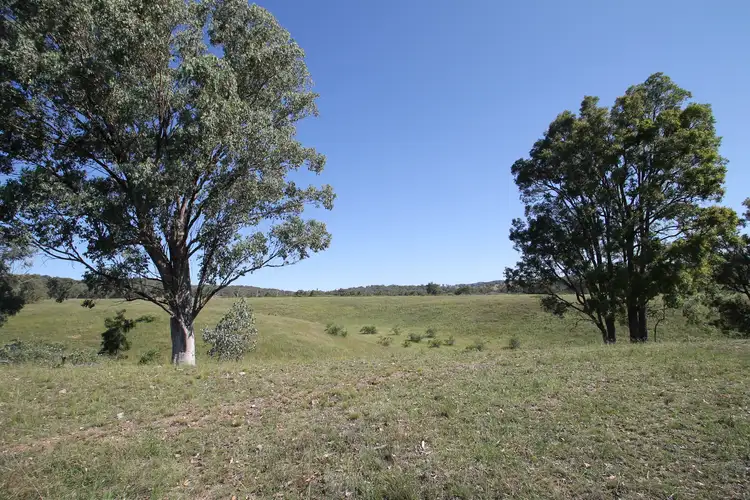Second view of Homely rural property listing, 293 Hayes Gap Road, Mudgee NSW 2850