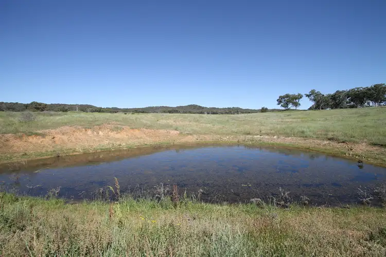 Third view of Homely rural property listing, 293 Hayes Gap Road, Mudgee NSW 2850
