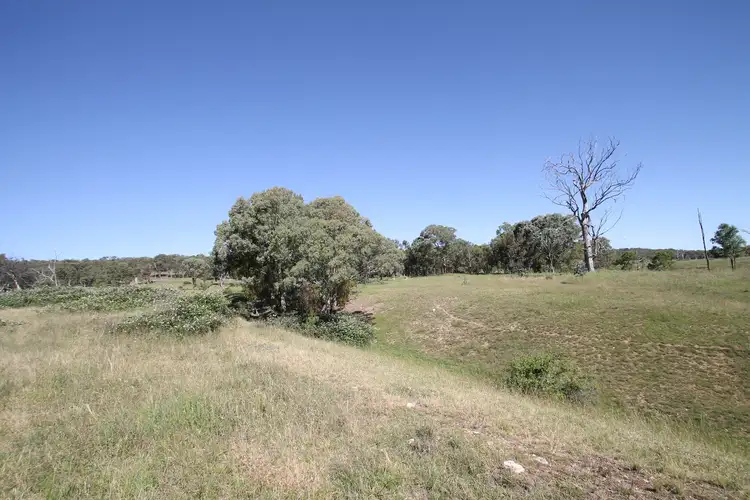 Fourth view of Homely rural property listing, 293 Hayes Gap Road, Mudgee NSW 2850