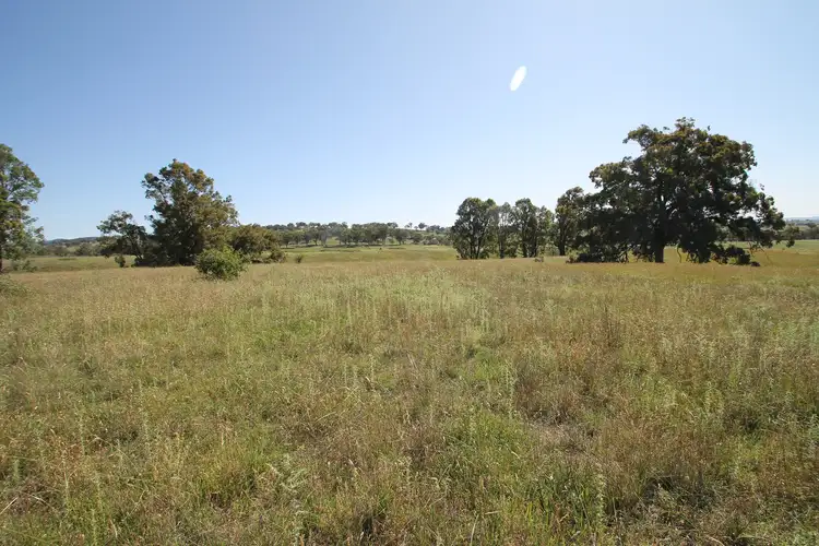 Fifth view of Homely rural property listing, 293 Hayes Gap Road, Mudgee NSW 2850