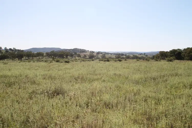 Sixth view of Homely rural property listing, 293 Hayes Gap Road, Mudgee NSW 2850
