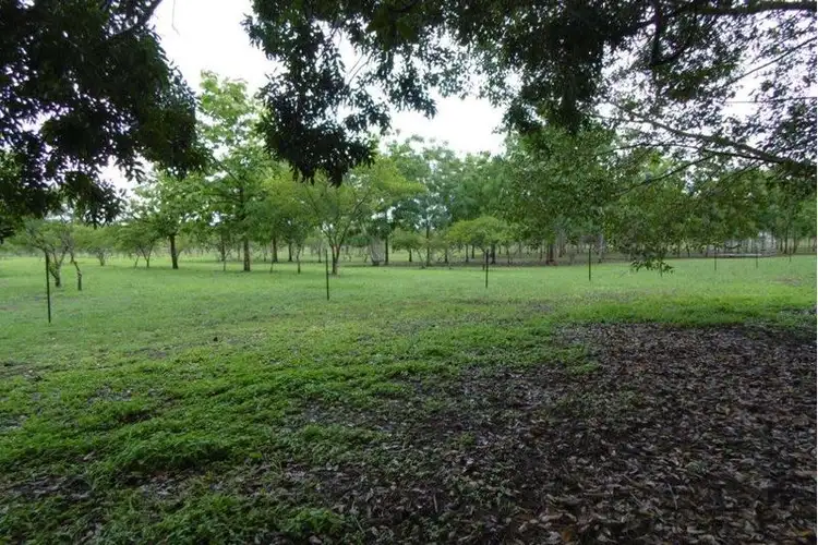 Third view of Homely rural property listing, lot 2906 Litchfield Park Road, Batchelor NT 845