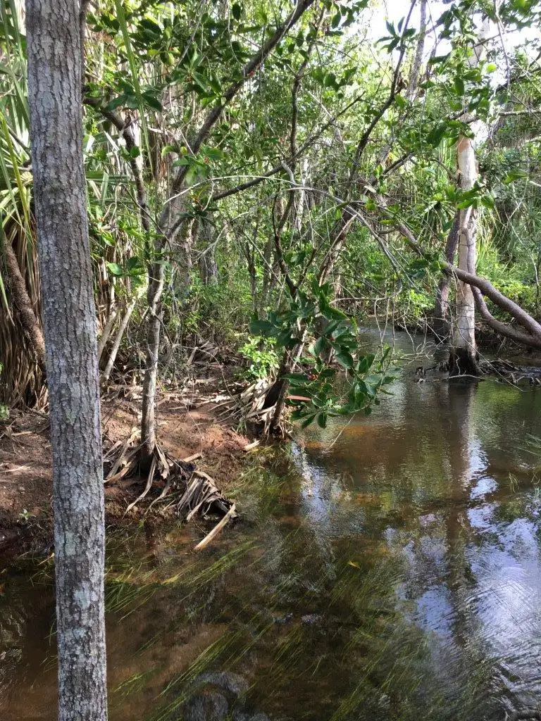 Main view of Homely land listing, 329d Goode Road, Humpty Doo NT 836