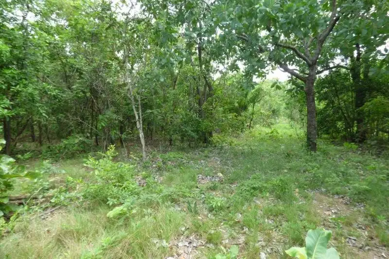 Main view of Homely rural property listing, 64 Andreas Avenue, Dundee Beach NT 840