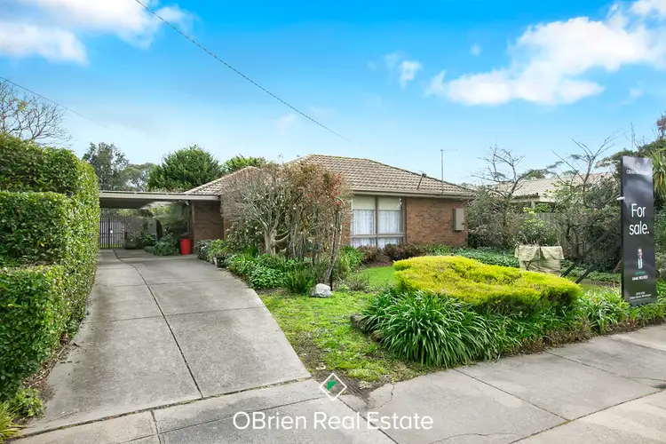 101 Robertson Drive, Mornington VIC 3931