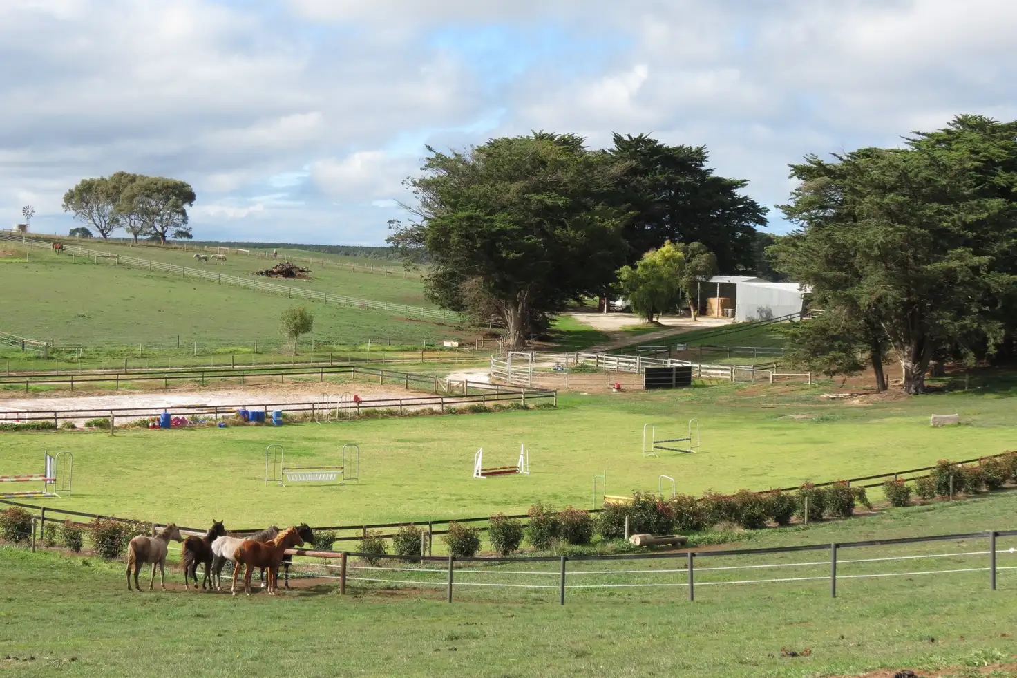 Main view of Homely rural property listing, 297 Yahl Hall Road, Mount Gambier SA 5290